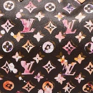 Louis Vuitton Limited Edition Coated Monogram Canvas 2001 to 2009 - Miss  Bugis
