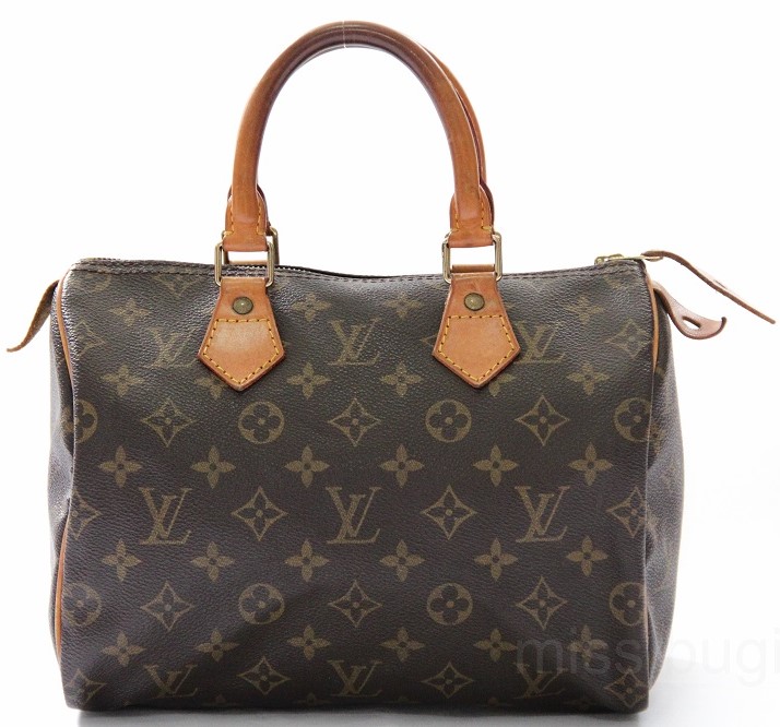 Louis Vuitton Women's Bag Model (A - M) - Miss Bugis